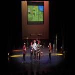 images/Voorstellingsfotos/Van Goghs Way to Go Teenagerversion Eveningconcert/60VanGoghAvond.jpg